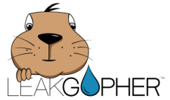 Leak Gopher